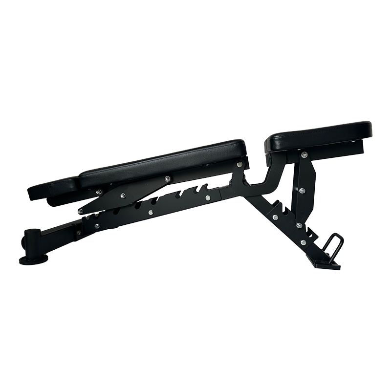 New Multi-Functional Adjustabl – Home Gym Dumbbells Bewertung und Preis