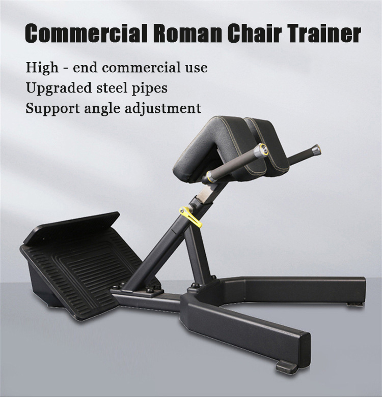 Adjustable Roman Chair Exercis – Home Gym Hamstring Exercises Bewertung und Preis
