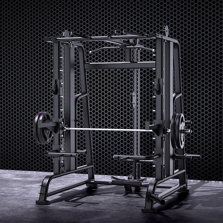Power Rack Home Gym Fitness Eq – Home Gym Gym Equipment Bewertung und Preis