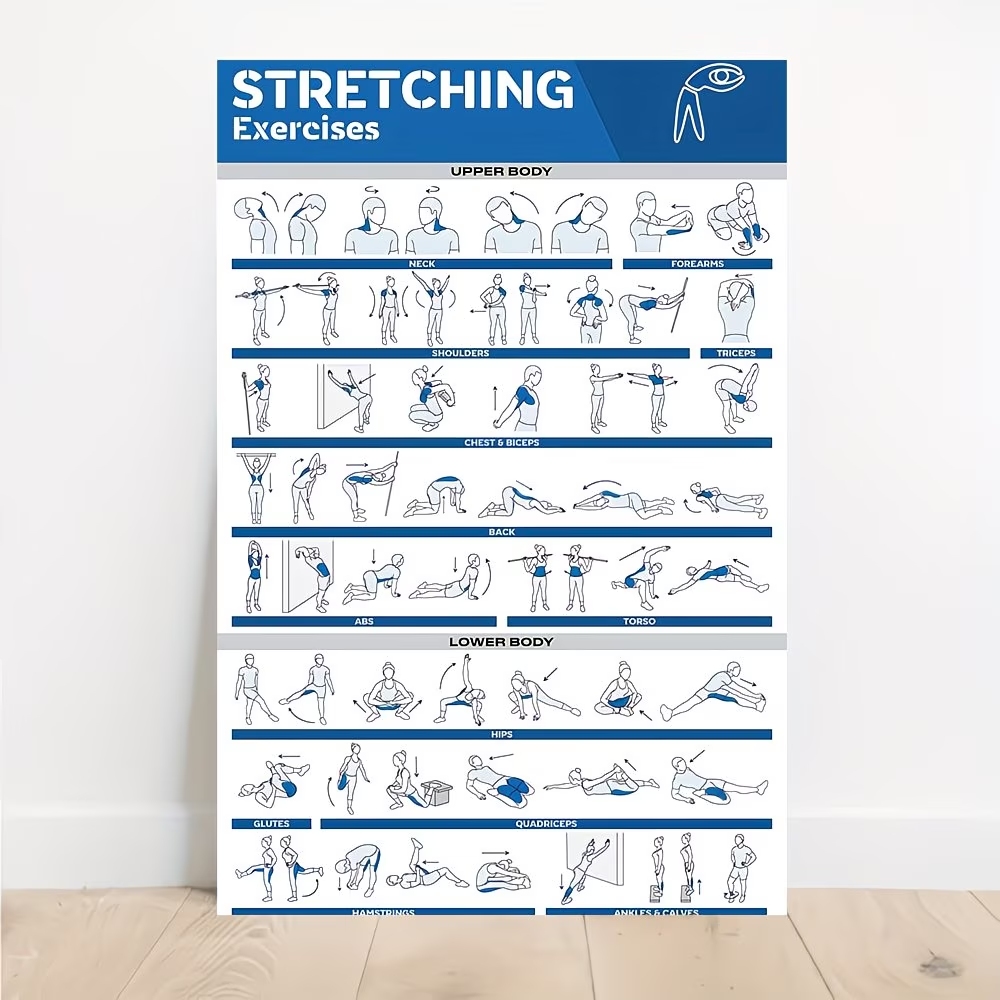 Modern Labeled Full-Body Stret – Home Gym Room Bewertung und Preis