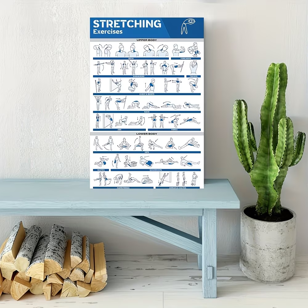 Modern Labeled Full-Body Stret – Home Gym Room Bewertung und Preis