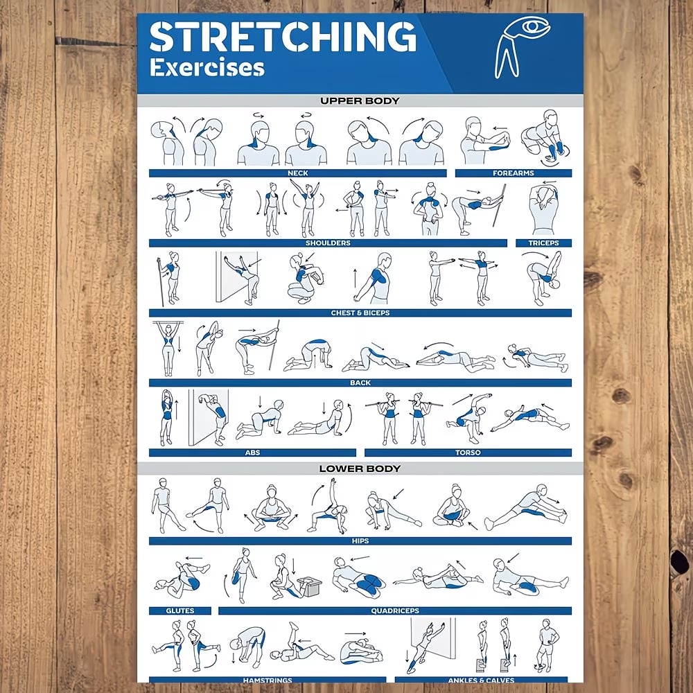 Modern Labeled Full-Body Stret – Home Gym Room Bewertung und Preis