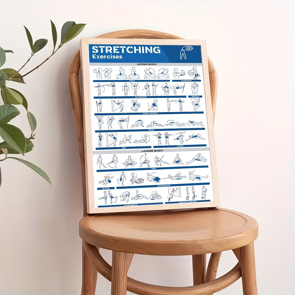 Modern Labeled Full-Body Stret – Home Gym Room Bewertung und Preis