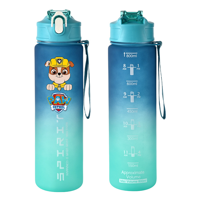 800ml PAW Patrol Sports Water  – Home Gym Room Bewertung und Preis