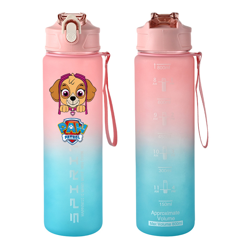800ml PAW Patrol Sports Water  – Home Gym Room Bewertung und Preis