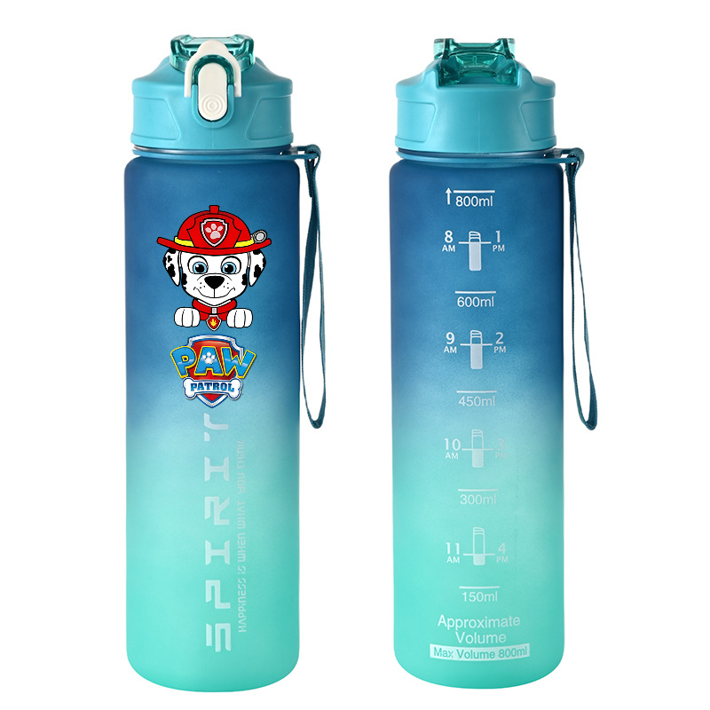 800ml PAW Patrol Sports Water  – Home Gym Room Bewertung und Preis